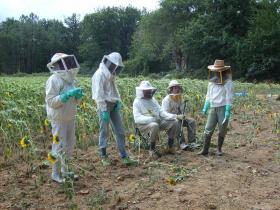 photo coins arrondis